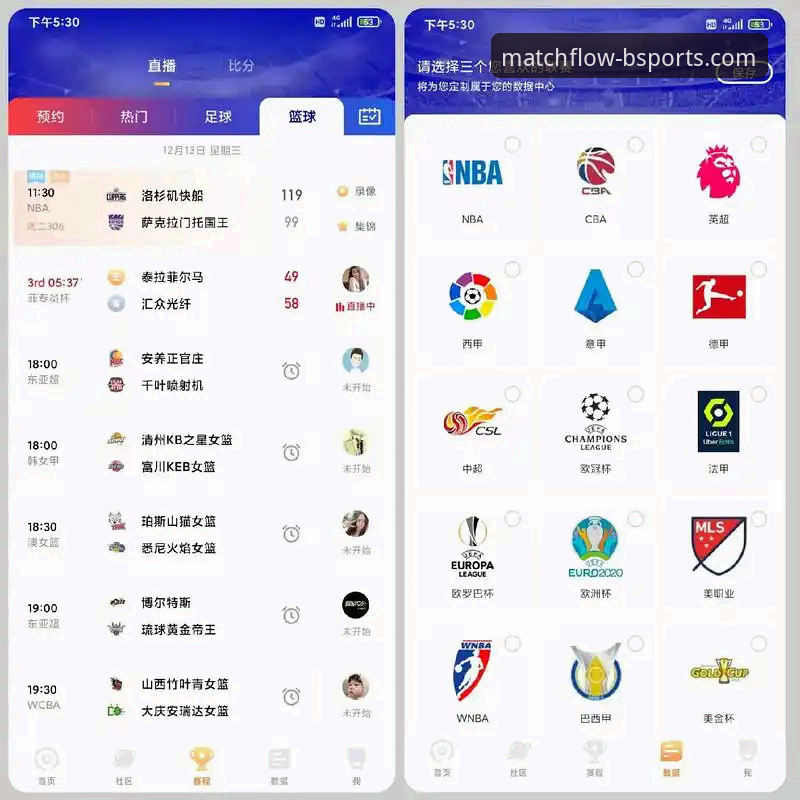 体育比赛直播平台使用技巧 B体育官网平台深度评测:体育比赛直播平台使用技巧全解析